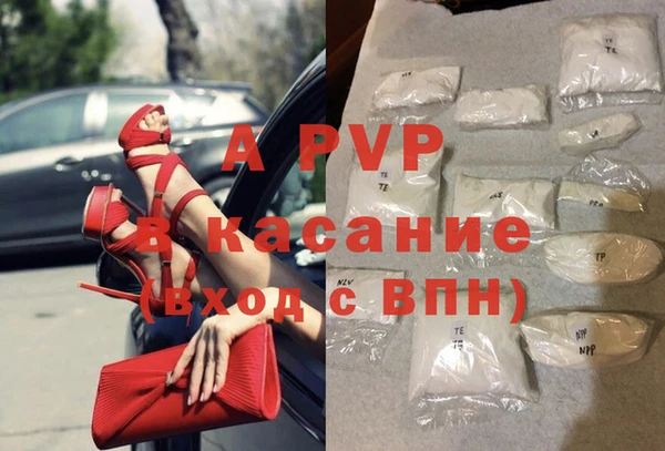 прущие грибы Зеленокумск
