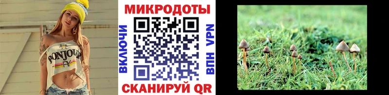 Псилоцибиновые грибы Psilocybe где купить наркоту Саяногорск